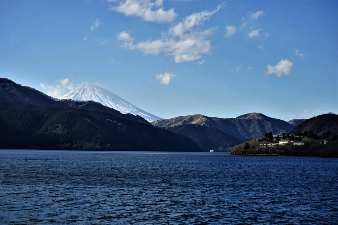 Picture